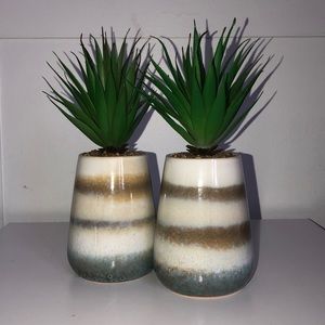 SET OF 2 ARTIFICIAL SUCCULENTS